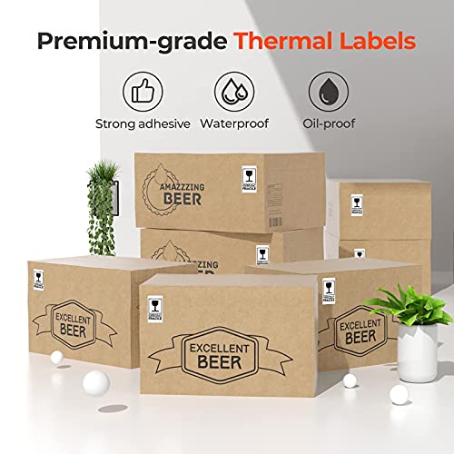 Kit d'imprimante d'étiquettes thermique 300 DPI MUNBYN RW941BP pour étiquettes de suppléments