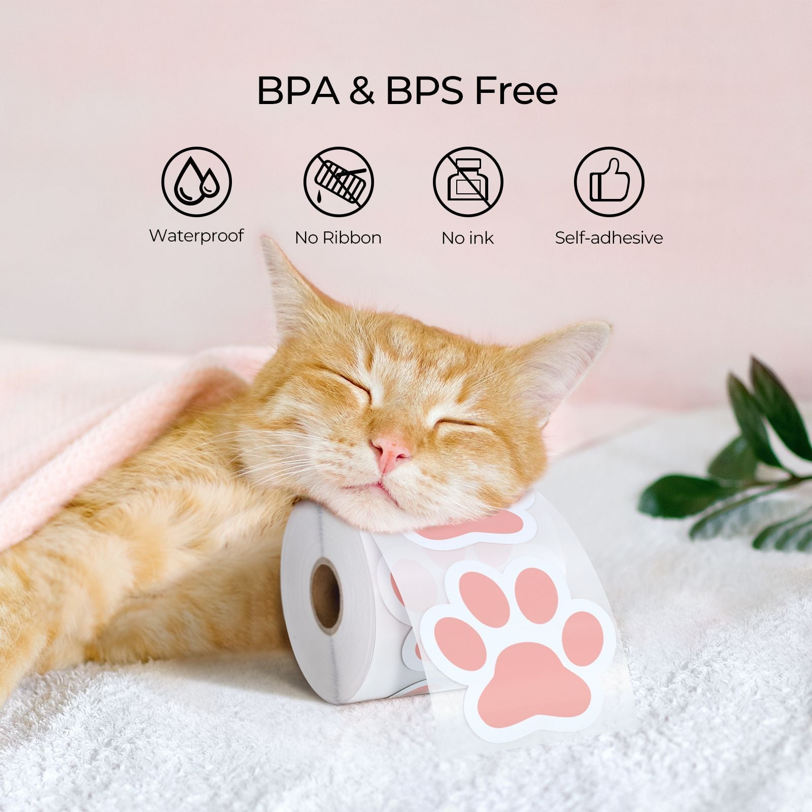 These paw-shaped thermal labels are an environmentally friendly choice as they require no ink or toner and BPA&BPS-Free.
